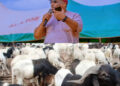 Ibarapakan Distributes Rams, Bags of Rice, N15M to Muslim Faithful Ahead of Eid-el-Kabir