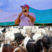 Ibarapakan Distributes Rams, Bags of Rice, N15M to Muslim Faithful Ahead of Eid-el-Kabir